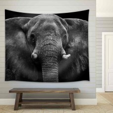 wall26 - Elephant - Fabric Wall Tapestry Home Decor - 68x80 inches   113200591261